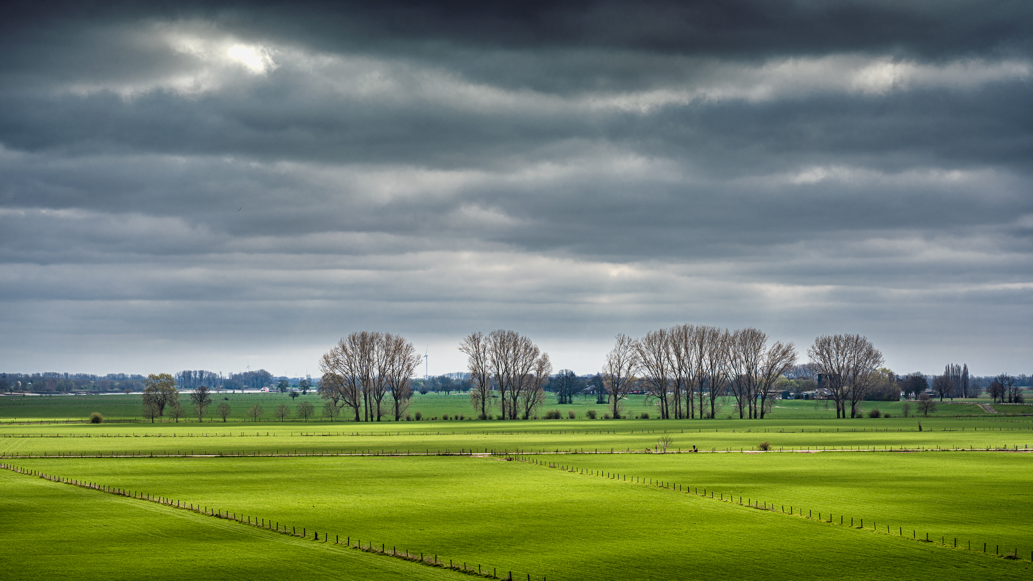 DSC 6188 Bearbeitet Kopie